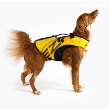 Lataa kuva Galleria-katseluun, EZYDOG DFD X2 BOOST UIMALIIVIT - Punainen