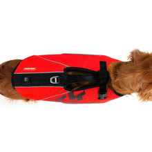 Lataa kuva Galleria-katseluun, EZYDOG DFD X2 BOOST UIMALIIVIT - Punainen