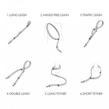 Lataa kuva Galleria-katseluun, EZYDOG MONITOIMITALUTIN VARIO 6 - MUSTA