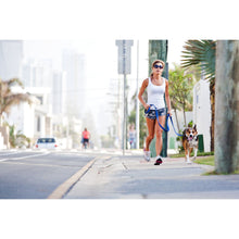 Lataa kuva Galleria-katseluun, EZYDOG MONITOIMITALUTIN VARIO 6 - MUSTA