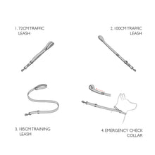 Lataa kuva Galleria-katseluun, EZYDOG MONITOIMITALUTIN VARIO 4 - PINK